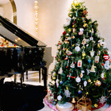 CHRISTMAS SPECIAL